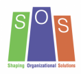 Shaping Organizational Solutions